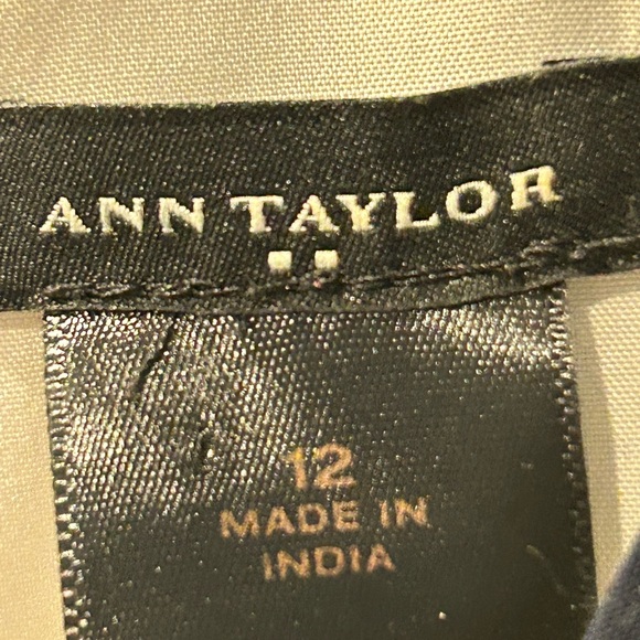 ANN TAYLOR Blue and White Dress - Picture 3 of 3